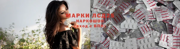 прущие крисы Алексеевка