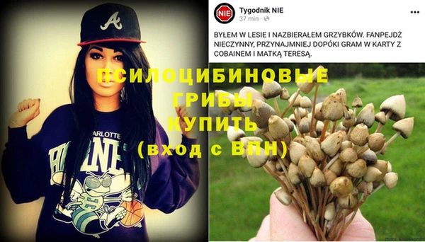 каннабис Аркадак