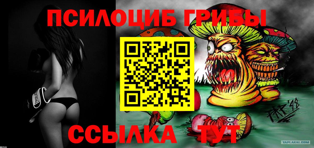 Псилоцибиновые грибы GOLDEN TEACHER Черкесск