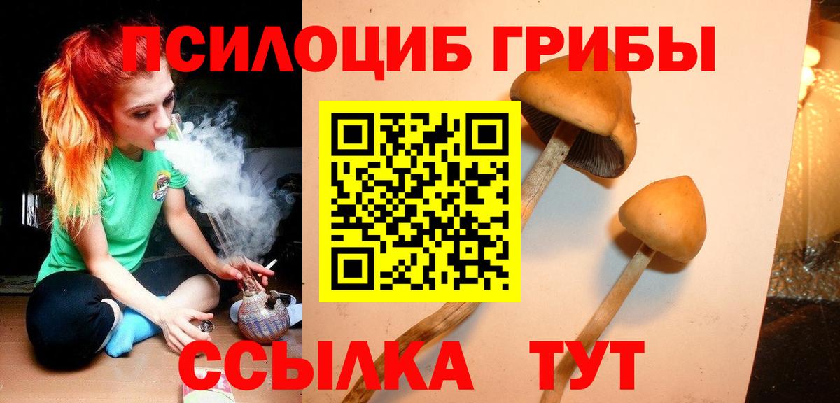 Метадон  Alpha PVP СОЛЬ   Черкесск  НБОМе  ГАШ  Вход с VPN  MDMA  COCAIN  Меф МЯУ МЯУ кристаллы  Кокаин  Каннабис 