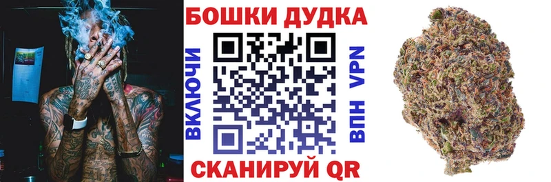 мориарти телеграм  Черкесск  Каннабис индика 